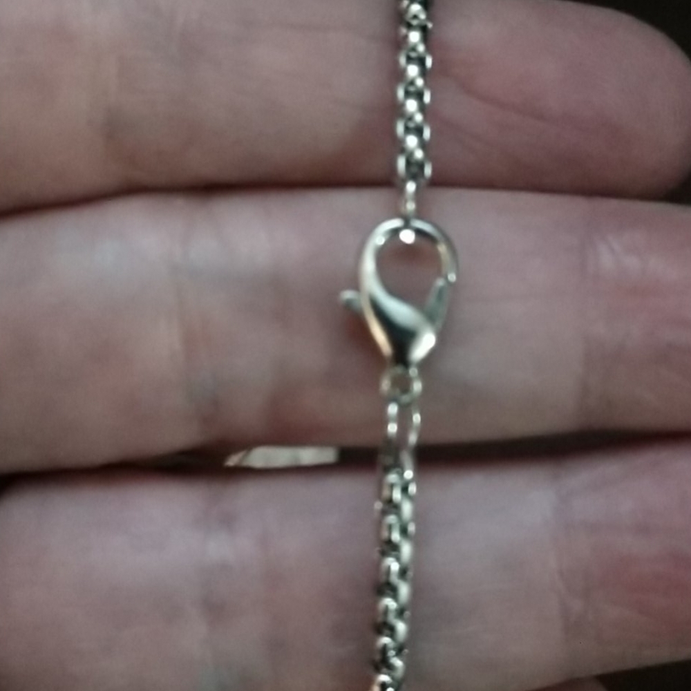 New Stainless Wolf Tooth pendant with Chain - Picture 9 of 14